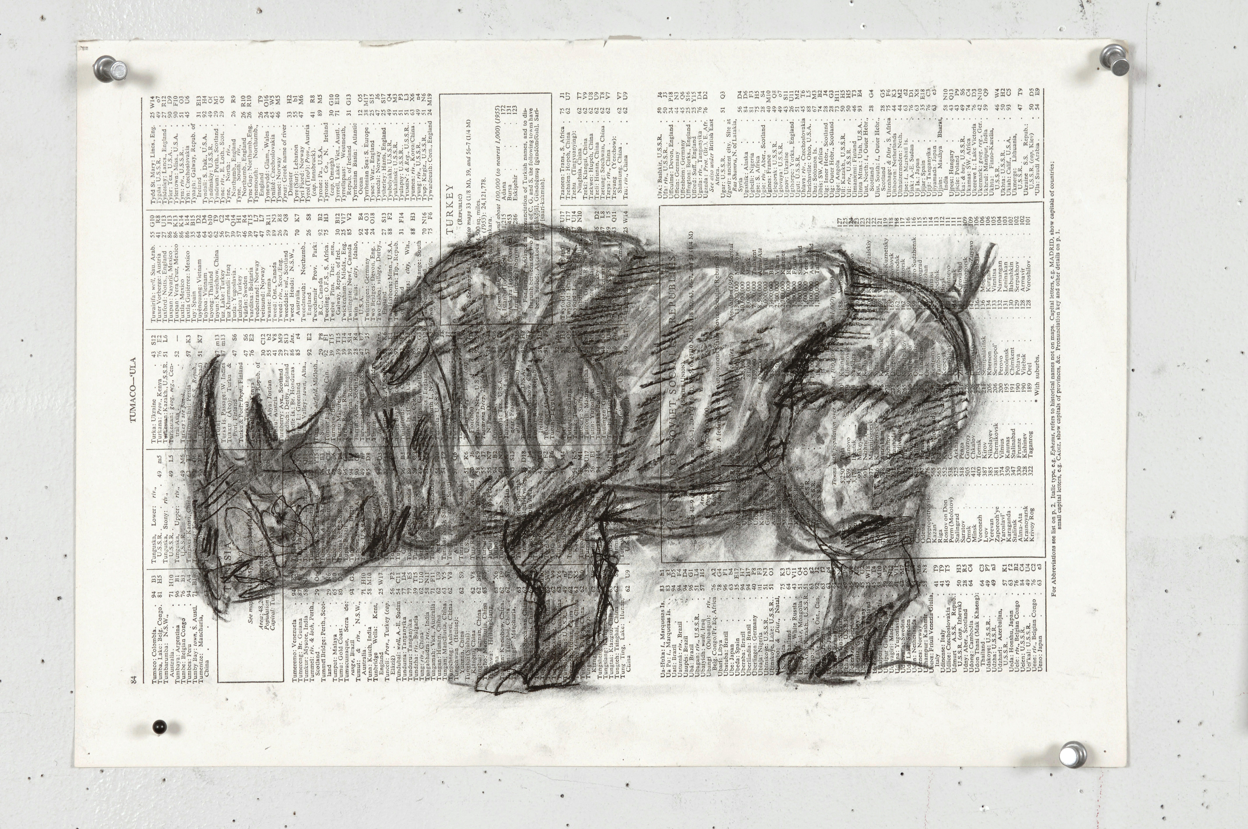 Drawing for Black Box / Chambre Noire (Indian Rhino)